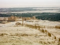 Palmyra, Syria 2011